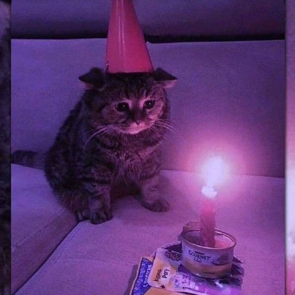 کاور اهنگ CHAMBER OF REFLECTION Sped Up