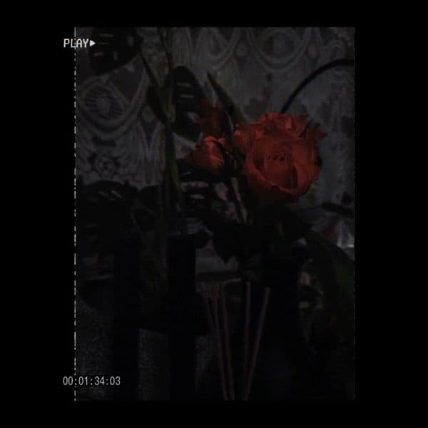 کاور اهنگ Dernière Danse از Indila