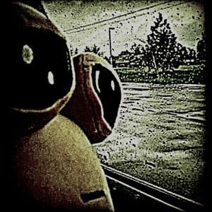 کاور اهنگ FUNK BAD DO BAD Slowed