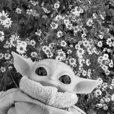 کاور اهنگ Ginseng Strip 2002 Slowed