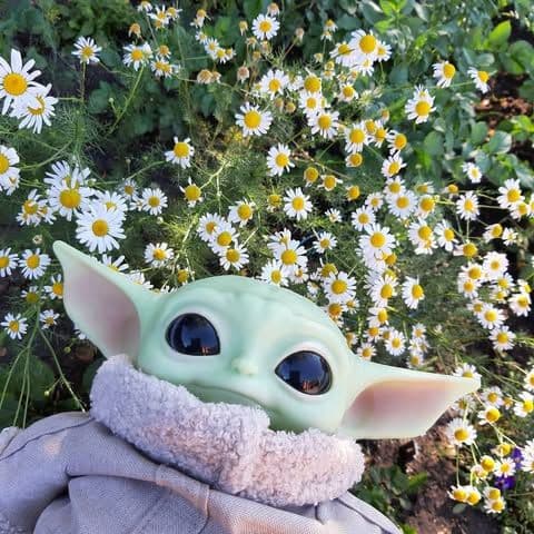 کاور اهنگ Ginseng Strip 2002 از Yung Lean