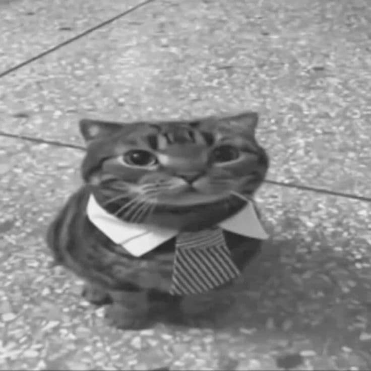 کاور اهنگ macarena Slowed