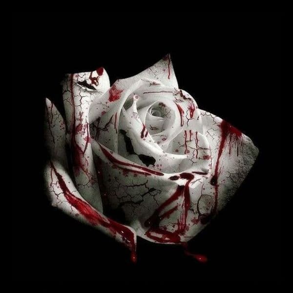 کاور اهنگ Romantic Homicide از d4vd