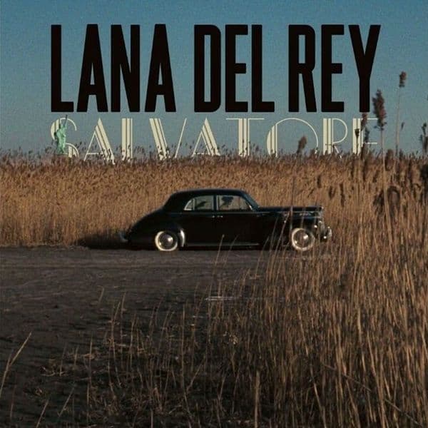 کاور اهنگ Salvatore از Lana Del Rey