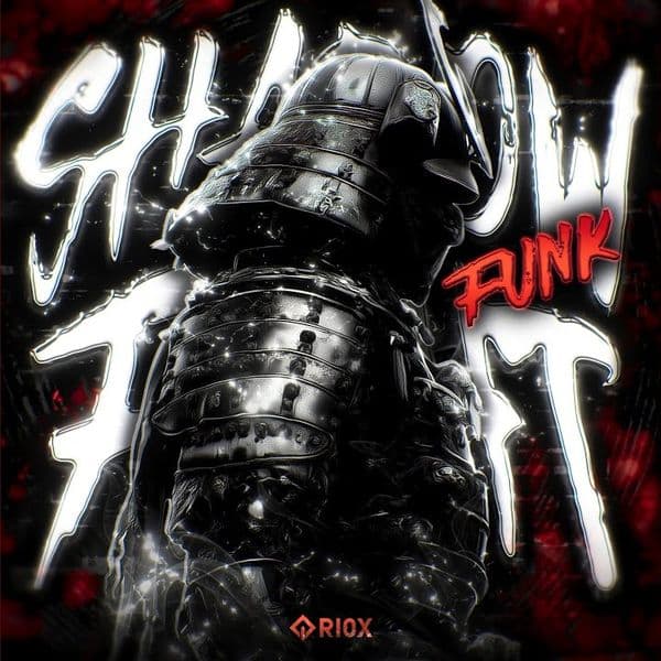 کاور اهنگ SHADOW FIGHT FUNK از SHX4