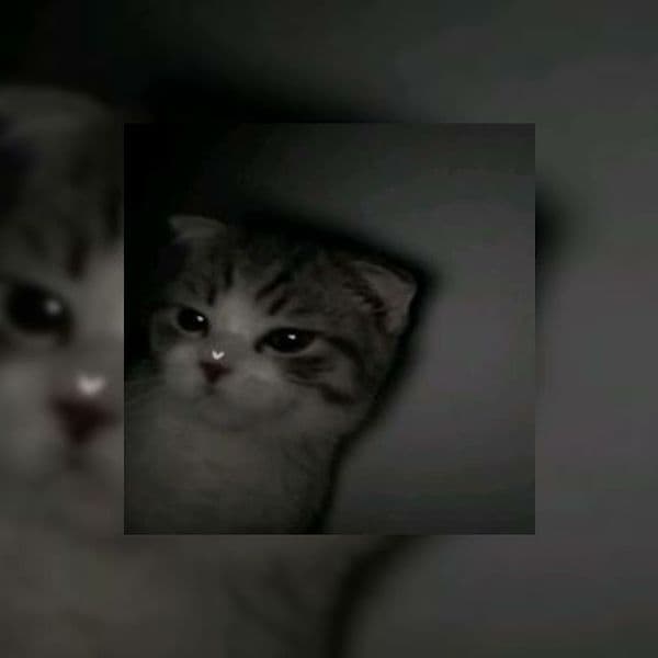 کاور اهنگ Snap Sped Up