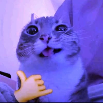 کاور اهنگ Space Cadet Sped Up