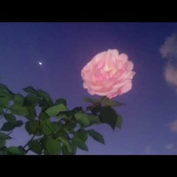 کاور اهنگ Waiting For Love Slowed