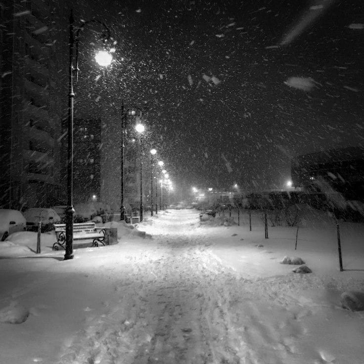 کاور اهنگ California Dreaming Slowed...
