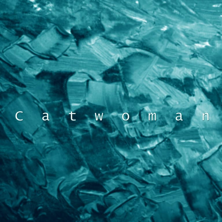 کاور اهنگ Catwoman  Slowed...