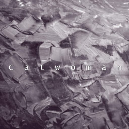 کاور اهنگ Catwoman 