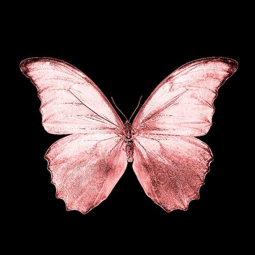 کاور اهنگ Cool for the Summer Sped Up