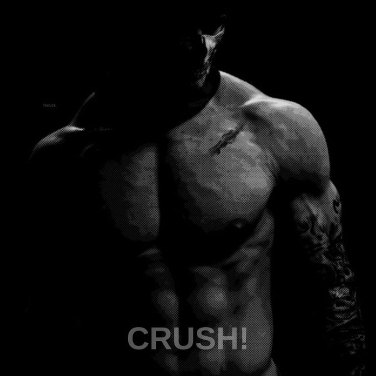 کاور اهنگ CRUSH!...