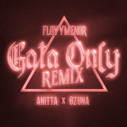 کاور اهنگ Gata Only (Remix) Sped Up