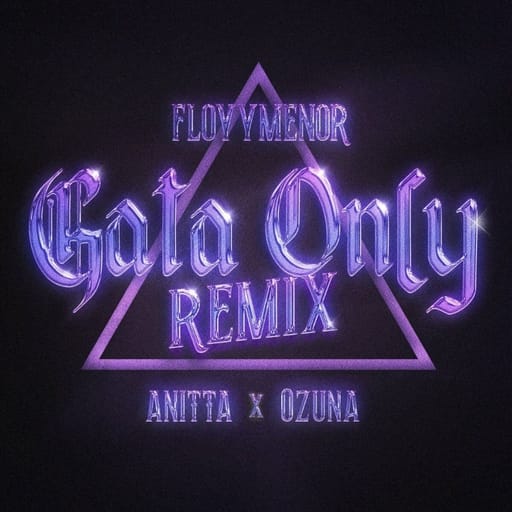 کاور اهنگ Gata Only (Remix)