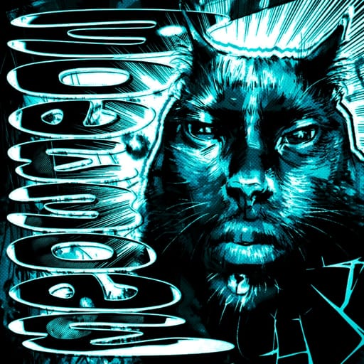 کاور اهنگ Meow Meow Slowed