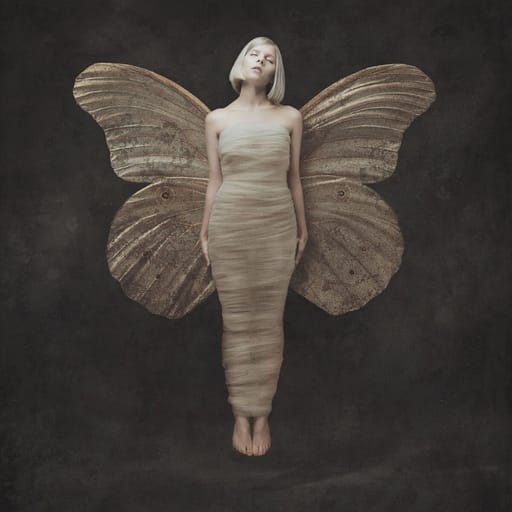 کاور اهنگ Runaway از AURORA