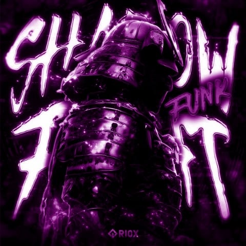 کاور اهنگ SHADOW FIGHT FUNK Sped Up...