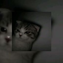 کاور اهنگ Snap Sped Up