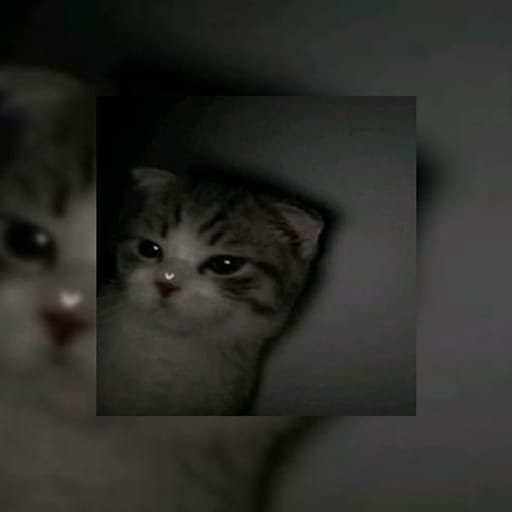 کاور اهنگ Snap Sped Up