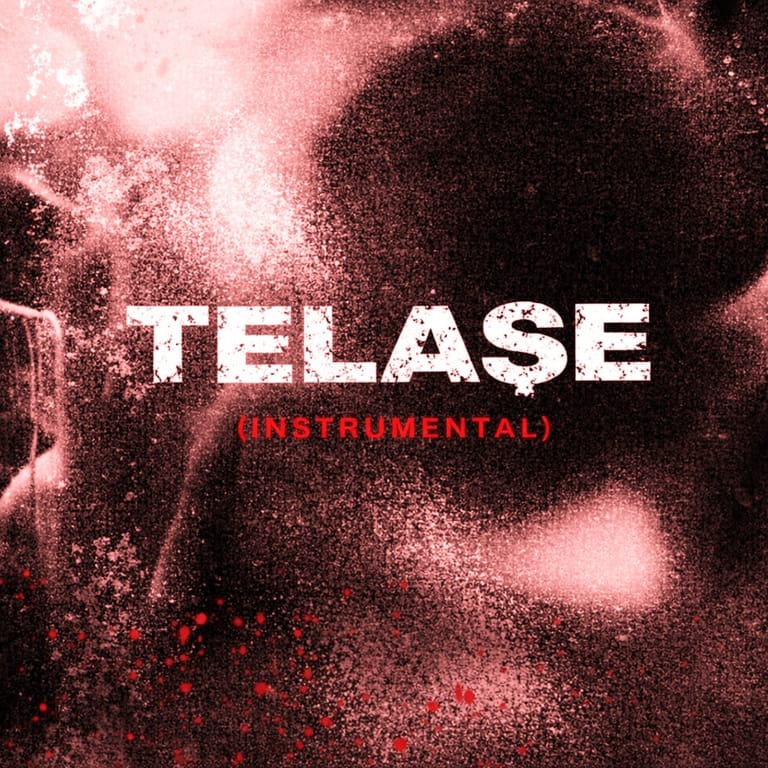 کاور اهنگ Telaşe (Instrumental) Sped Up...