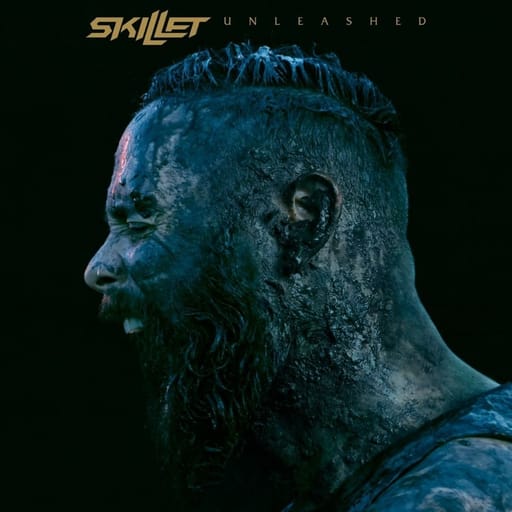 کاور اهنگ The Resistance از Skillet